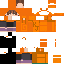 Texture for ech cam
