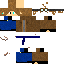 Texture for V2