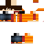 Texture for Wtf0100