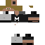 Texture for miguptyt