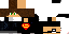 Texture for CanoSSaPTnew