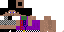 Texture for swagget