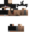 Texture for ninja