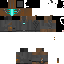 Texture for ds