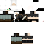 Texture for dd