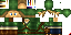 Texture for Link