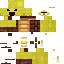 Texture for yellowturtle