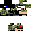 Texture for dionteam