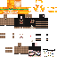 Texture for 312
