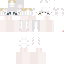 Texture for Skin Roblox certinha