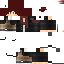 Texture for pp