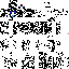 Texture for Blak and Whyt