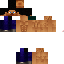 Texture for Steve