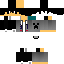 Texture for XDCrazyX