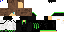 Texture for Lander