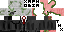 Texture for steve.png