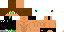 Texture for Fannnnnn