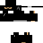 Texture for ninja