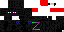 Texture for enderz