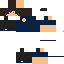 Texture for DMI[MuhamDebe]