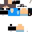 Texture for zlipeh_