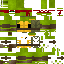 Texture for  tmnt 