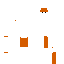 Texture for ds
