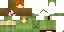 Texture for creeper me