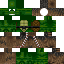 Texture for Turtle Wookie