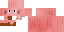 Texture for pige