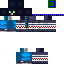 Texture for ds