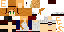 Texture for Medieval 2