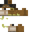 Texture for Gus