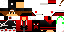 Texture for ds