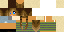 Texture for sdf