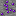 Texture for dark mater