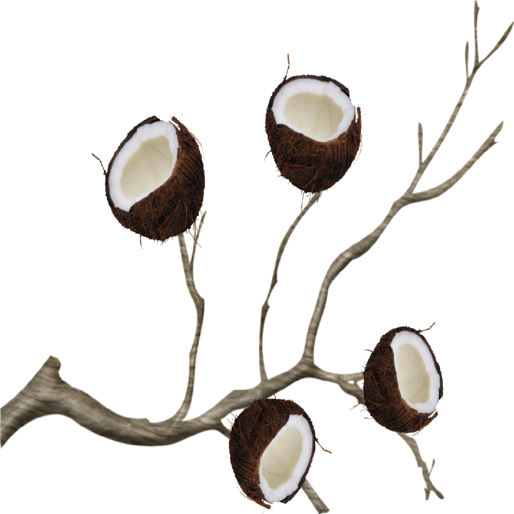 Texture for Coconuts on a stick