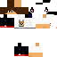 Texture for shodifhishidisii
