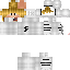 Texture for FLIXH