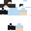 Texture for nightbird second form