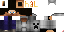 Texture for STEVE