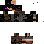 Texture for endersteve