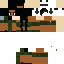 Texture for dani