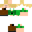 Texture for hw4e5h