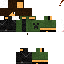 Texture for david11