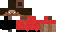 Texture for Steve