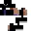 Texture for elspider