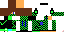 Texture for char