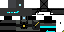 Texture for ninja2