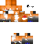Texture for fox raid